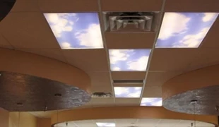 Ceiling Graphics & Displays